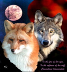 Fox & Wolf